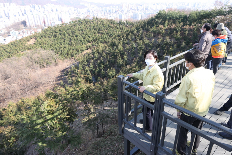 주요사업 현장 점검Ⅳ_ 봉산 편백힐링숲 이미지