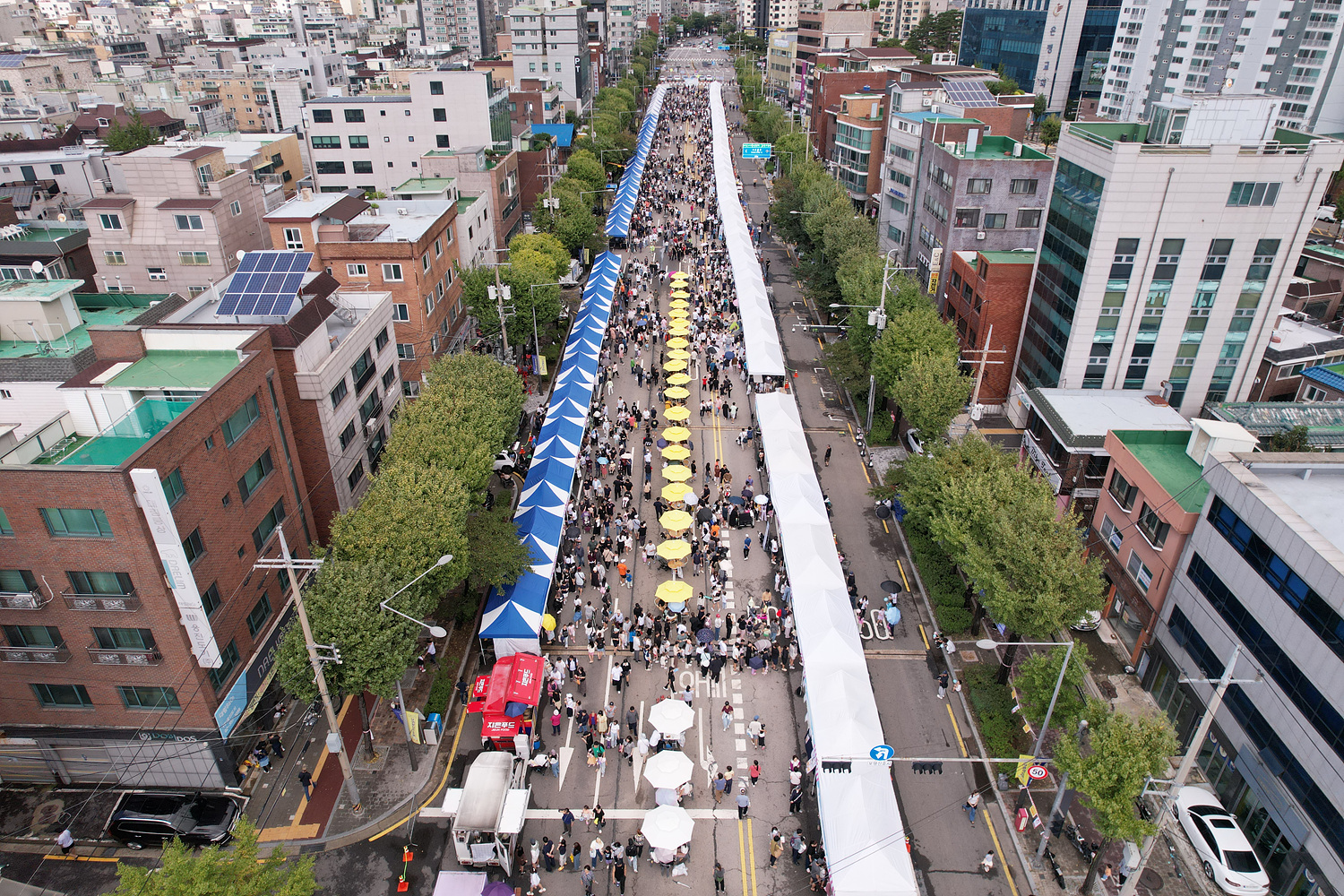 은평 무차별대로 축제 이미지