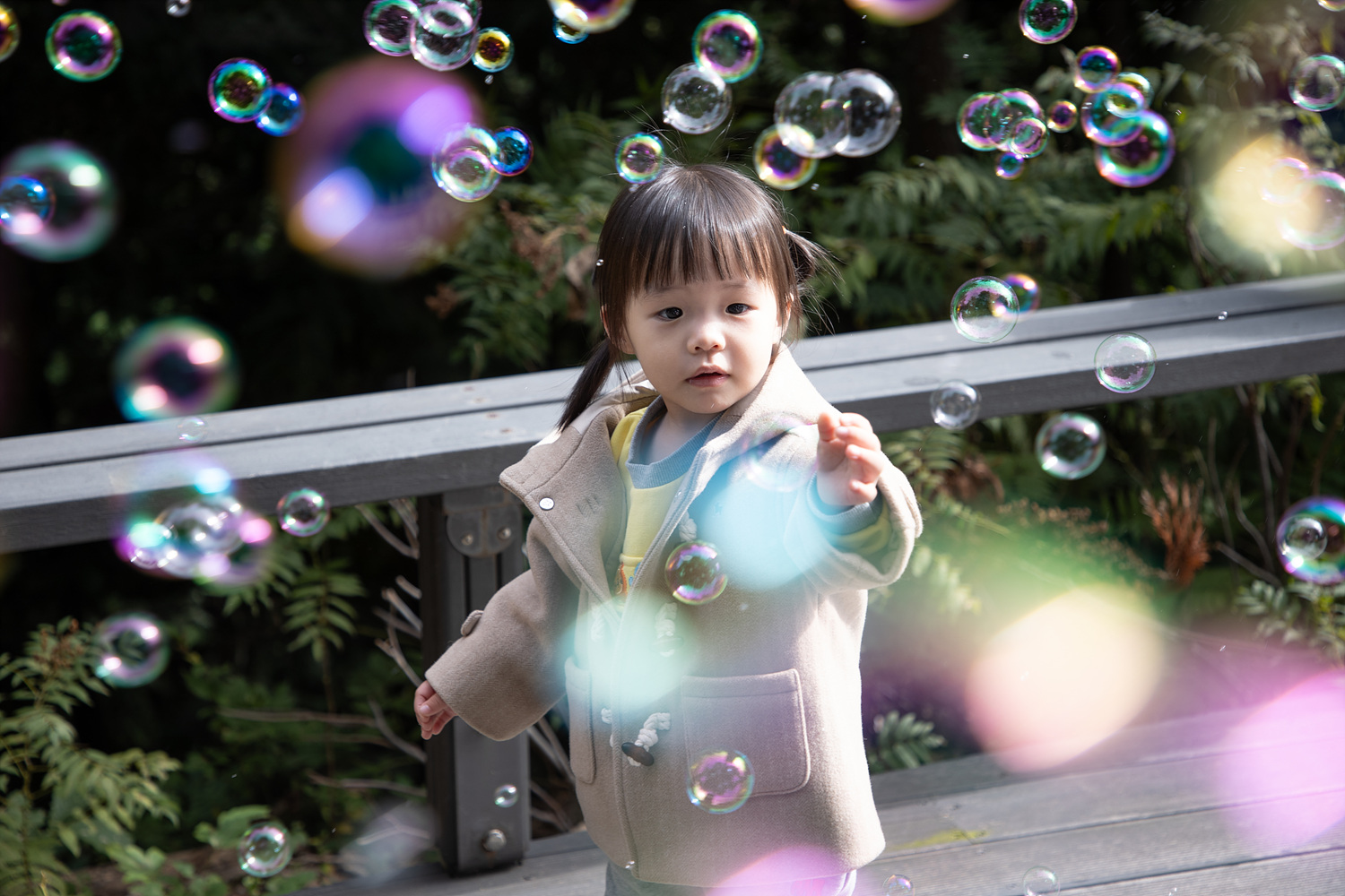 2025년 은평구 가정어린이집 유아차데이 무장애 숲길 탐방 이미지