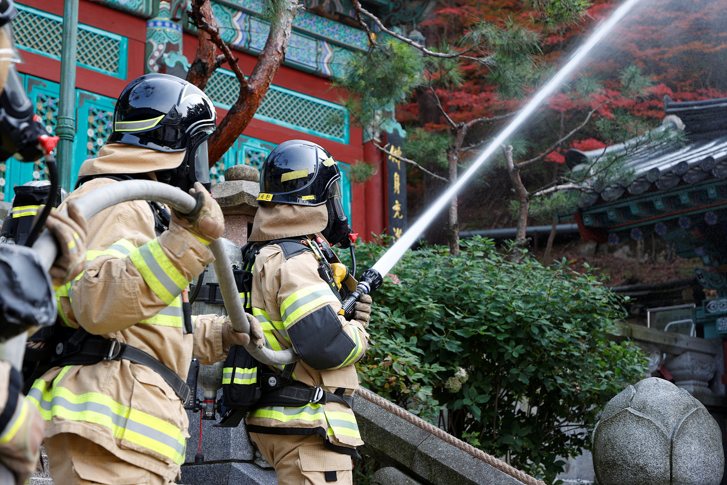 2025년 안전 한국 훈련 이미지