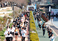 지역사회 행사 참여 사진